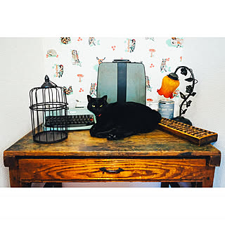 動物柄の壁紙のインテリア実例 Roomclip ルームクリップ 動物柄の壁紙のインテリア実例 Roomclip ルームクリップ