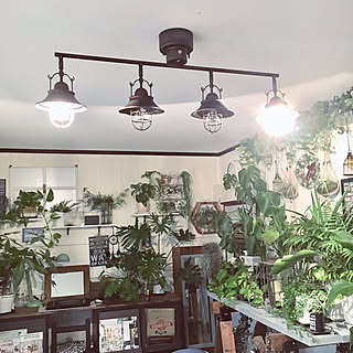 壁/天井/照明器具交換/いつもいいねやコメありがとうございます♡/いいね!押し逃げばかりでごめんなさい。/ペットと暮らす家...などのインテリア実例 - 2017-12-13 18:46:01