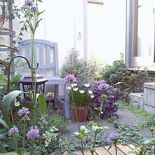 半日陰の庭のインテリア実例 Roomclip ルームクリップ