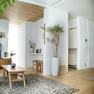 観葉植物 蓄熱暖房機のインテリア実例 Roomclip ルームクリップ