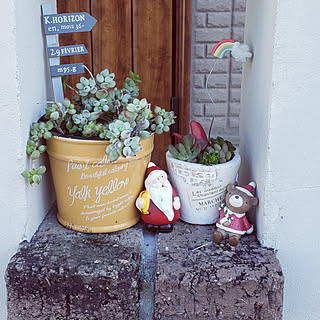 机/ロハスで購入/多肉寄せ植え/多肉ちゃん♡/小さいおうち...などのインテリア実例 - 2019-11-24 23:04:11