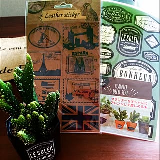 壁/天井/オプンチア/観葉植物/NO GREEN NO LIFE/男前もかわいいも好き♡...などのインテリア実例 - 2016-04-09 20:59:20