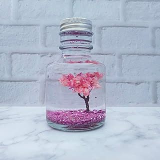 セリア Seria スノードームのまとめページ Roomclip ルームクリップ