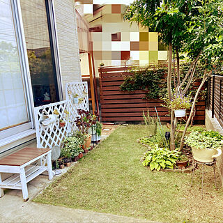 玄関横の庭のインテリア実例 Roomclip ルームクリップ