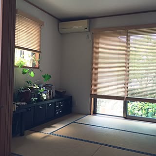 観葉植物 和室のインテリア実例 Roomclip ルームクリップ