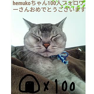 フォロワーさん100人おめでとう!!/富士山の上でおにぎりを/hemukoちゃん♡のインテリア実例 - 2016-08-21 05:40:10
