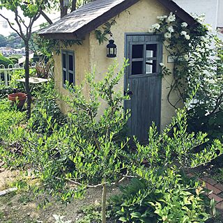 部屋全体/ランタン/DIY/ガーデン/DIY小屋...などのインテリア実例 - 2016-05-14 08:57:28