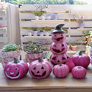 ピンクかぼちゃのインテリア実例 Roomclip ルームクリップ