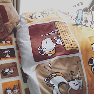 スヌーピー フライングエースのインテリア実例 Roomclip ルームクリップ