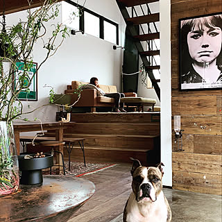 犬 スキップフロアのインテリア実例 Roomclip ルームクリップ