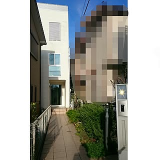 旗竿地 旗竿地の家のインテリア実例 Roomclip ルームクリップ
