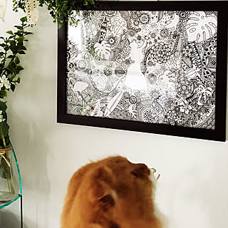 Noriちゃんゼンタングルのインテリア実例 Roomclip ルームクリップ