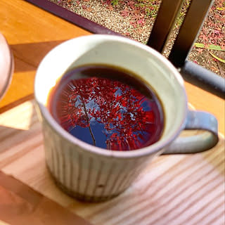 女性の、4LDK、家族住まいの「机」についてのインテリア実例