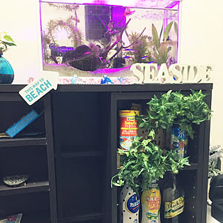 棚/1R/一人暮らし/観葉植物/Room Clipとの出会いに感謝♥...などのインテリア実例 - 2017-10-12 02:08:01