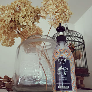 キッチン/新キュキュットポンプ/見せるシンク/おしゃれボトル/冷蔵庫の上...などのインテリア実例 - 2019-07-18 09:09:10