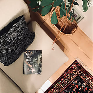 観葉植物/一人暮らし/ソファ/壁/天井のインテリア実例 - 2020-02-24 20:01:35