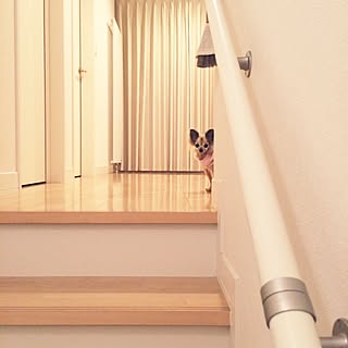 白い手すりのインテリア実例 Roomclip ルームクリップ