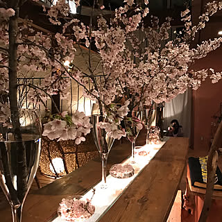 桜を愛でるのインテリア実例 Roomclip ルームクリップ