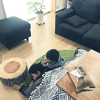 芝生ラグ しまむらで購入のインテリア実例 Roomclip ルームクリップ