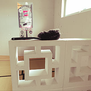 沖縄 花ブロックのインテリア実例 Roomclip ルームクリップ
