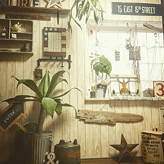 部屋全体/DIY/green/アガベアテナータ/流木/星...などのインテリア実例 - 2015-08-29 21:06:05