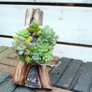 多肉植物 リーススタンドのおしゃれなアレンジ 飾り方のインテリア実例 Roomclip ルームクリップ