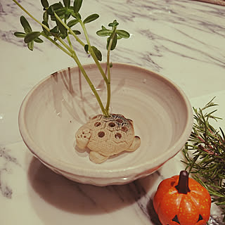 キッチン/キッチンカウンターの上/一輪挿し/亀の甲羅/笠間焼き...などのインテリア実例 - 2017-10-13 23:11:35