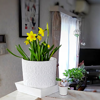 フランフラン コメリの商品を使ったおしゃれなインテリア実例 Roomclip ルームクリップ