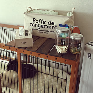 セリア ペットケージのインテリア実例 Roomclip ルームクリップ