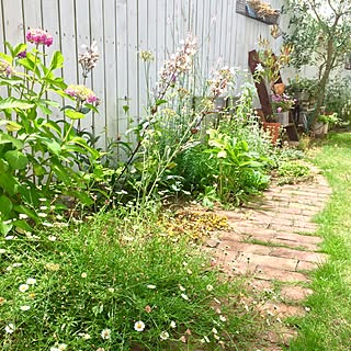 ナチュラルガーデン エリゲロンのおしゃれなインテリアコーディネート レイアウトの実例 Roomclip ルームクリップ