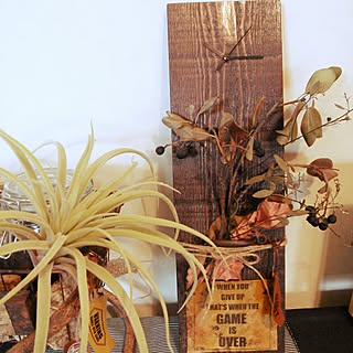【植中毒】/NO GREEN NO LIFE/植中毒!使わせて貰いました!/時計リメイク/時計DIY...などのインテリア実例 - 2016-06-17 10:27:15