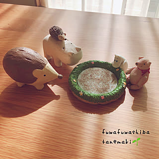 観察日記...♪*゚/芽が出ますように❁.*・゚/フワフワ芝...♪*゚/気になり群がるアニマルズ♡笑/小さな小さな庭...などのインテリア実例 - 2019-10-05 10:22:31
