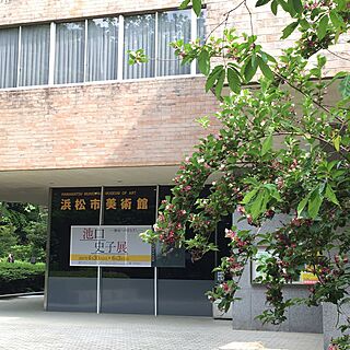 美術館/浜松市/散歩中/徘徊のインテリア実例 - 2017-05-14 14:35:11