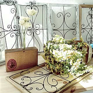 北海道/100均/DIY/植物のある暮らし/ナチュラル...などのインテリア実例 - 2017-05-01 10:40:36