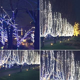 玄関/入り口/東京タワー/イルミネーション/六本木/デート♡/Instagram⇨be_wiz_you...などのインテリア実例 - 2016-12-19 18:26:13