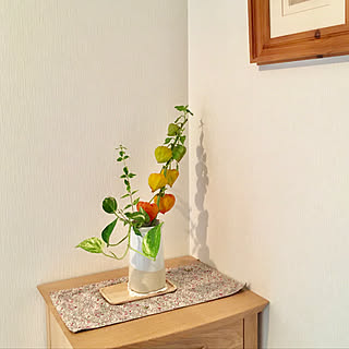 玄関 入り口 ほおずきのインテリア実例 Roomclip ルームクリップ