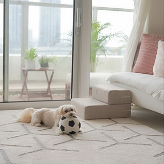 ドッグステップのインテリア実例 Roomclip ルームクリップ