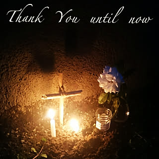 玄関/入り口/お墓参りのインテリア実例 - 2019-08-18 08:20:47