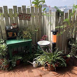 ホーロー 洗面器のインテリア実例 Roomclip ルームクリップ ホーロー 洗面器のインテリア実例 Roomclip ルームクリップ