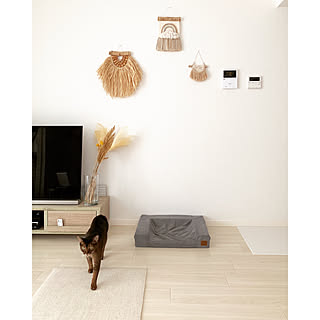 ヨガのある暮らしのインテリア実例 Roomclip ルームクリップ