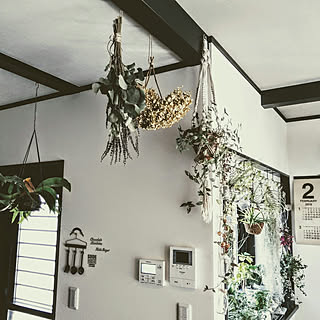 壁/天井/観葉植物/NO GREEN NO LIFE/マクラメハンギング/ドライフラワー...などのインテリア実例 - 2018-02-21 23:40:54