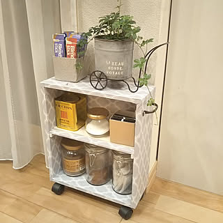 棚/リメイク/観葉植物/シュガーバイン/本物のグリーン...などのインテリア実例 - 2019-04-01 19:31:36