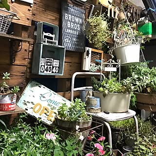 玄関/入り口/パレットガーデニングDIY/パレットはただ♪/ブライワックス ジャコビアン/!!!!!アホ仲間!!!!!...などのインテリア実例 - 2017-05-15 06:56:04