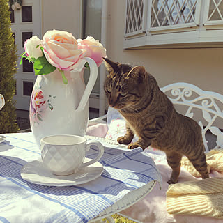 女性の、Other、家族住まいの「机」についてのインテリア実例