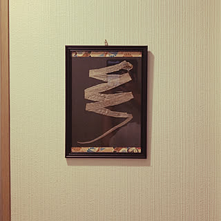 蛇の抜け殻のインテリア実例 Roomclip ルームクリップ