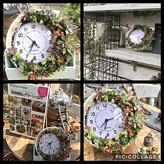 玄関/入り口/三日月多肉時計/多肉植物インテリア/花のある暮らし/インテリアグリーン...などのインテリア実例 - 2019-01-23 20:17:54