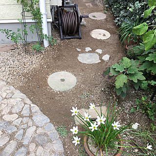 庭 飛び石のおしゃれなインテリアコーディネート レイアウトの実例 Roomclip ルームクリップ