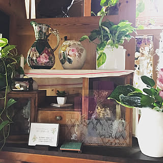 2019年5月5日〜/模様替えしました*‧˚₊*̥/薔薇の季節.。.:* ❁/自宅ショップ/観葉植物...などのインテリア実例 - 2019-06-13 09:50:27