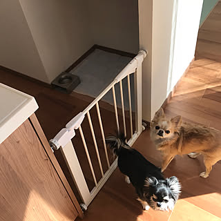 バス/トイレ/子供のいる暮らし/犬のいる暮らし/ペットゲート/●●の置き場所...などのインテリア実例 - 2018-02-13 11:02:55