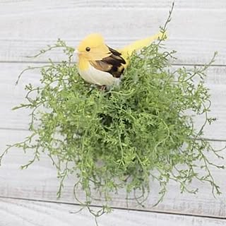 フェイクグリーン/動物モチーフのインテリア実例 - 2014-01-28 17:53:21
